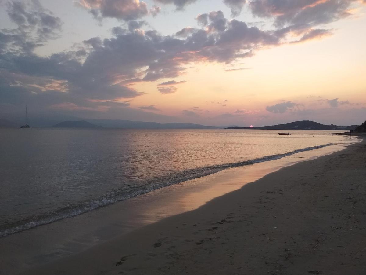 Villa Polemis Agia Anna  Ngoại thất bức ảnh